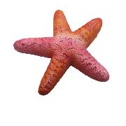 PU starfish