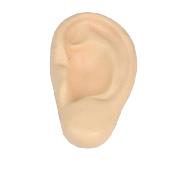 PU ears
